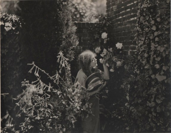 DG001 (1024x797) (2)