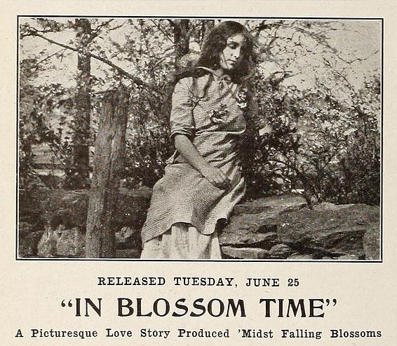 InBlossomTime Ad MPNews 06151912