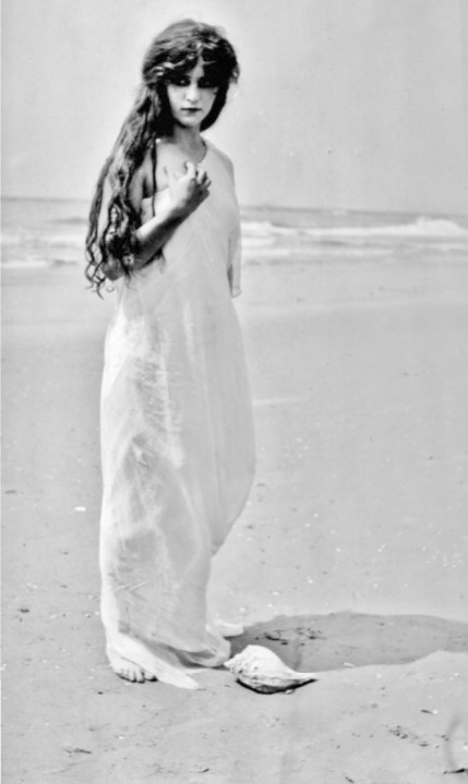 BeautyInSeashell portrait